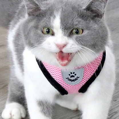 LunaTrail Harness Set image 6