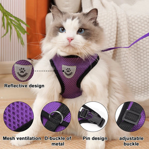 LunaTrail Harness Set image 2